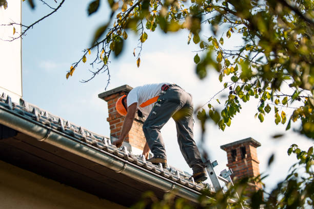 Best Roof Repair Services  in Harsville, RI